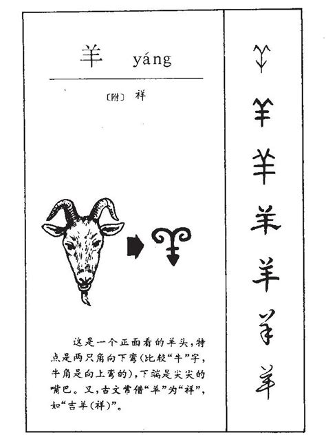 羊字頭|羊部首的字